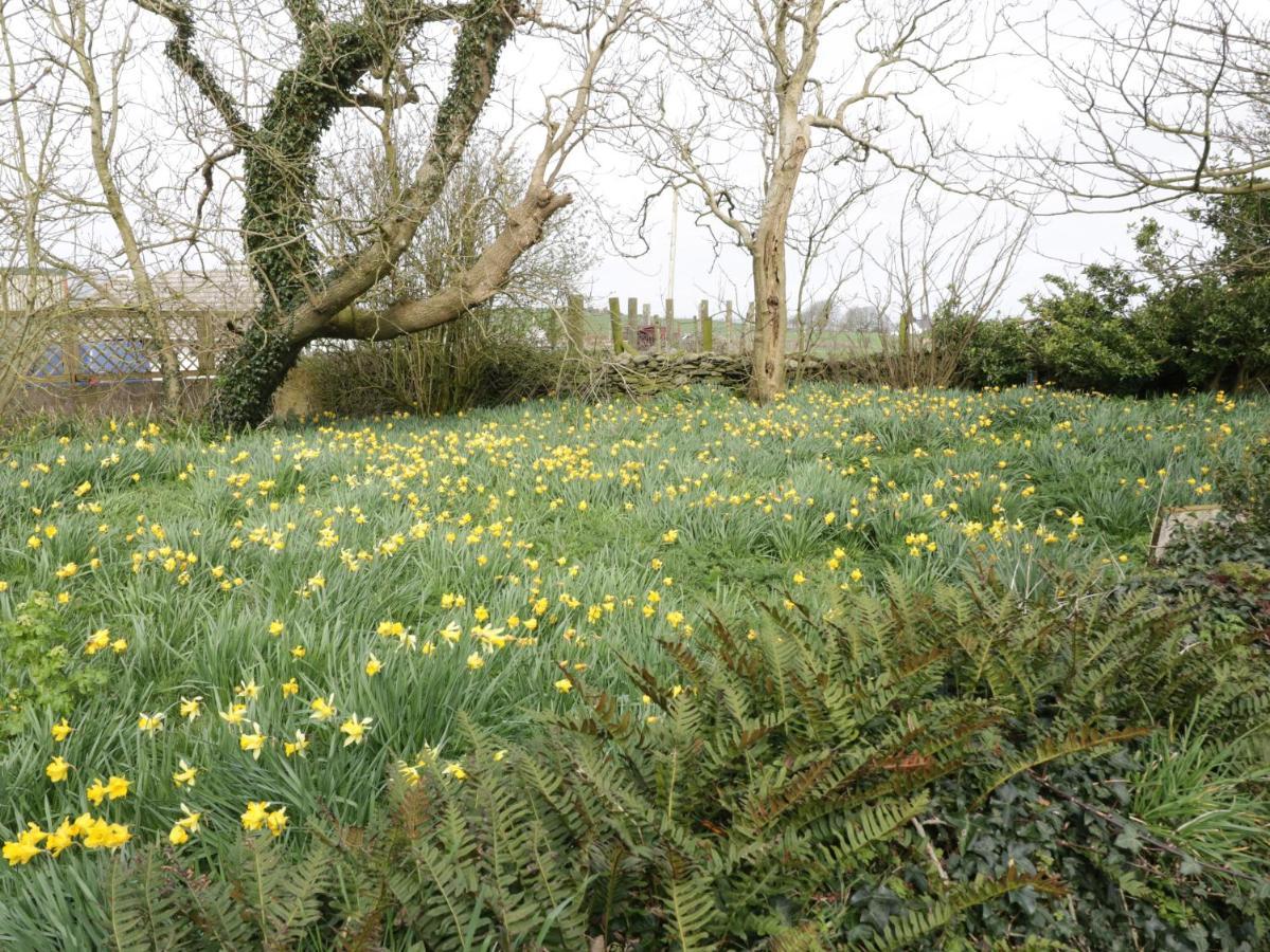 Bodegri Cottage Llanfflewyn المظهر الخارجي الصورة